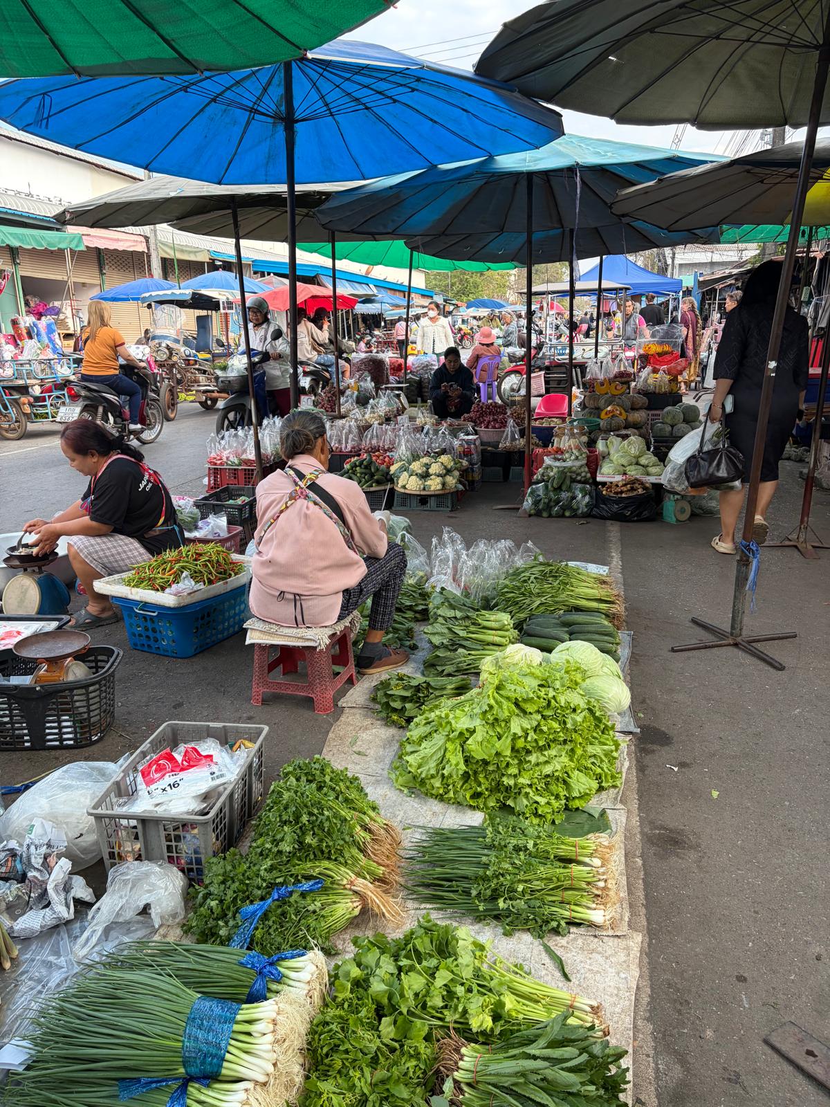 Local Thai market in Nong Khai
